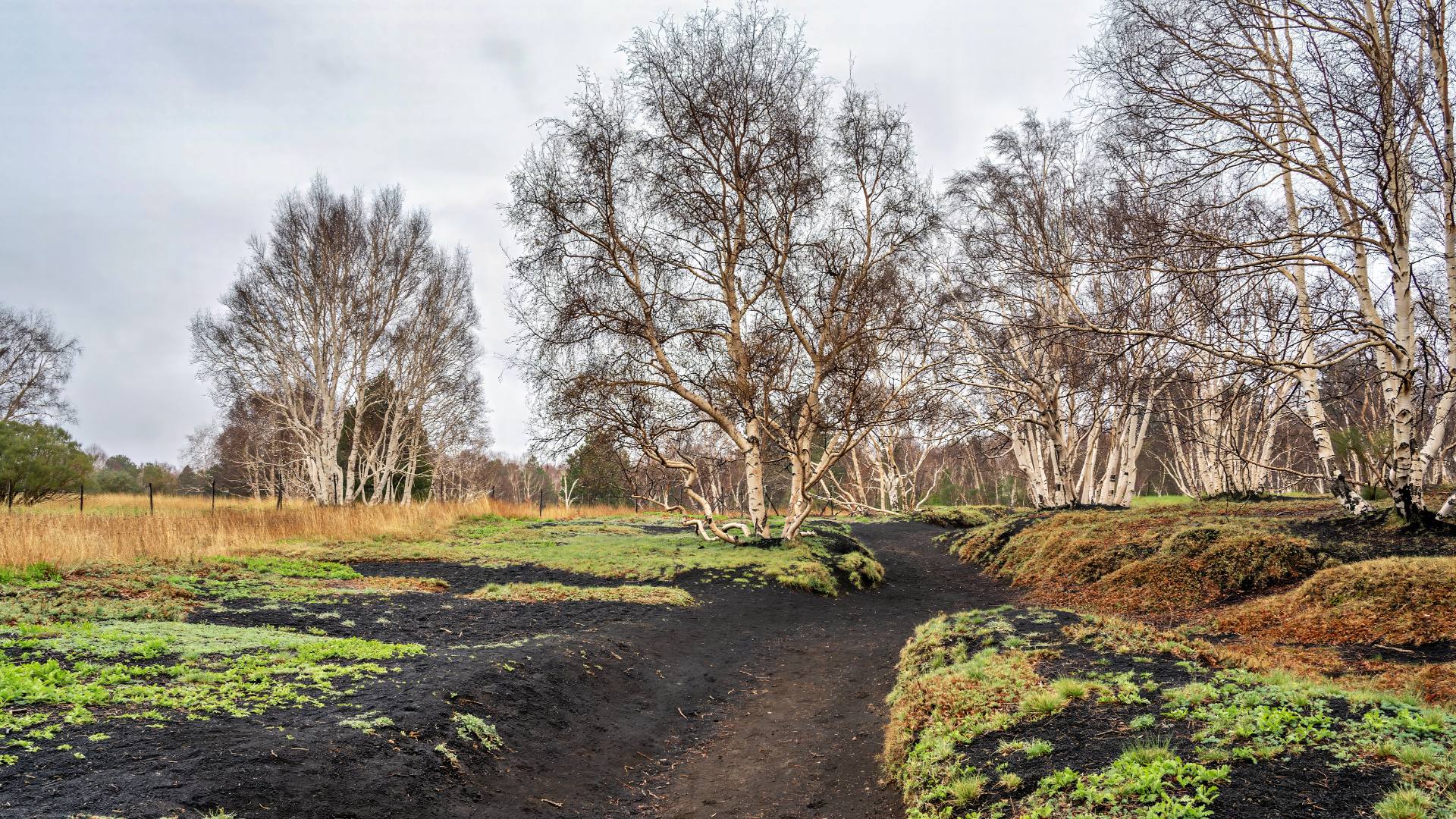 Ätna - Europas höchster aktiver Vulkan (3404 m); er lässt sich von verschiedenen Seiten ersteigen. Laut lokaler Auskunft ist der südliche Zugang bei Touristen besonders beliebt und zweitweise überfüllt. Wir haben wegen der Einfachheit der Route den nördlichen Zugang über den Sentiero Monti Satorius gewählt. 
